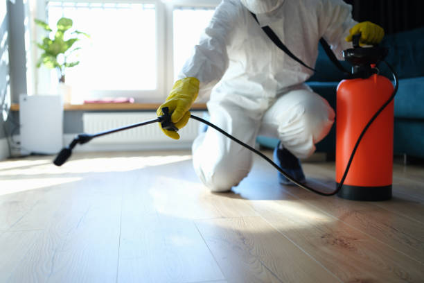 Professional Pest Control in Odessa, FL