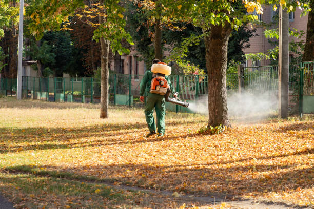 Best Rat Extermination Near Me  in Odessa, FL